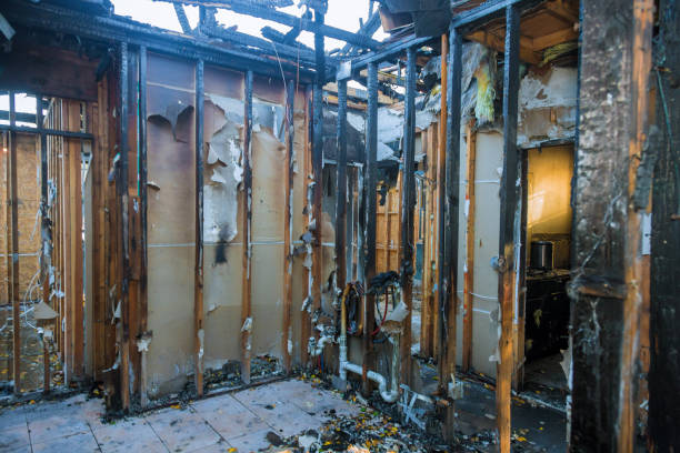 Professional Fire Damage Repair technician working in Walcott, IA